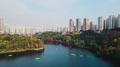 重庆九龙坡彩云湖公园秋景视频的预览图